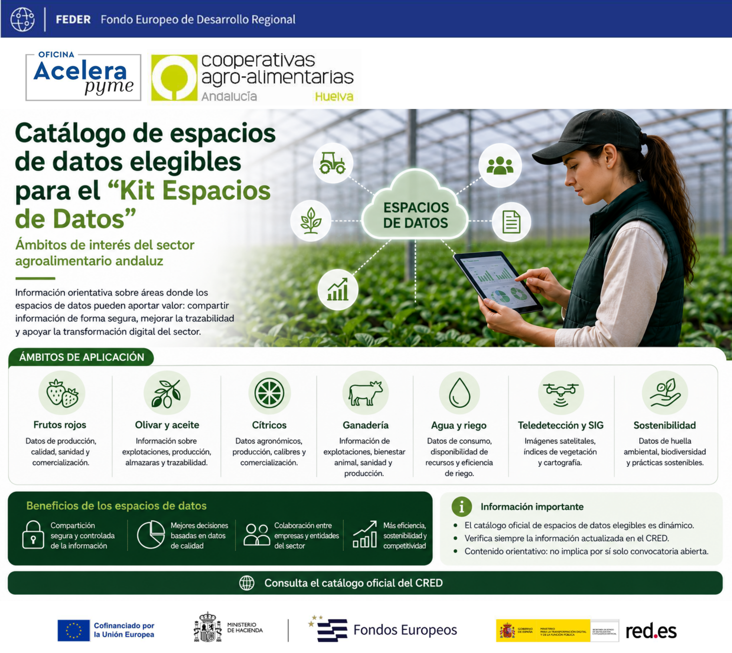 CATÁLOGO DE ESPACIOS DE DATOS ELEGIBLES PARA EL “KIT ESPACIOS DE DATOS” oap huelva coops agro