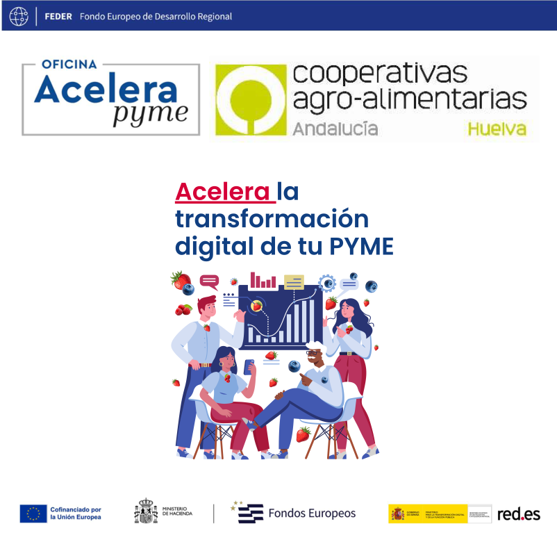 OFICINA ACELERA PYME